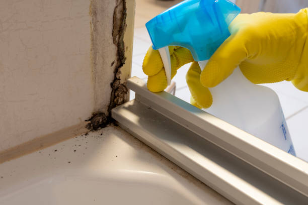 Best Post-Remediation Services in Tuolumne City, CA