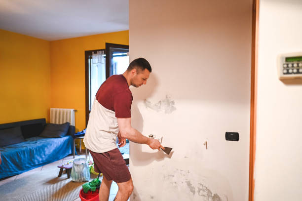 Trusted Tuolumne City, CA Mold Remediation Experts
