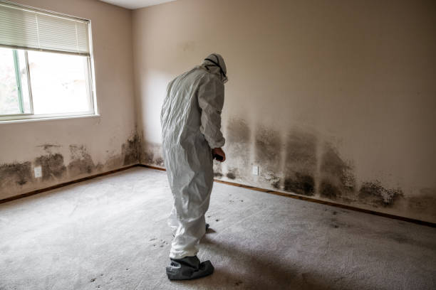 Best Residential Mold Remediation in Tuolumne City, CA