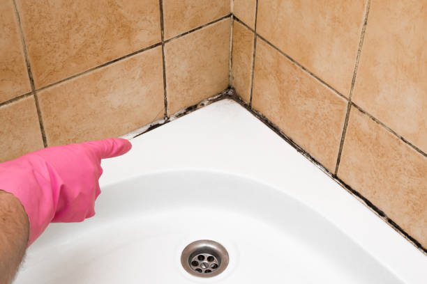 Best Post-Flood Mold Remediation in Tuolumne City, CA